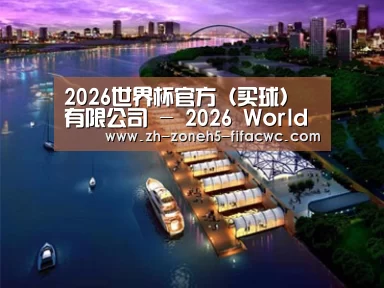 案例展示八