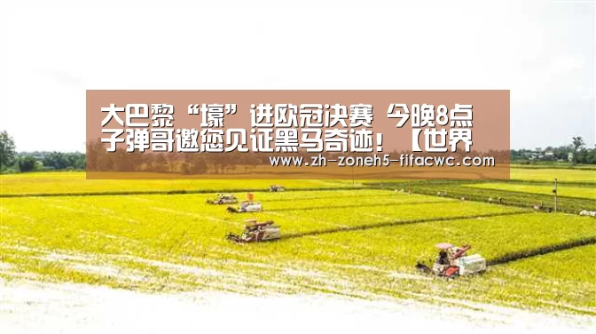 大巴黎“壕”进欧冠决赛 今晚8点 子弹哥邀您见证黑马奇迹!【世界杯买球网站】(图1) 世界杯买球网站