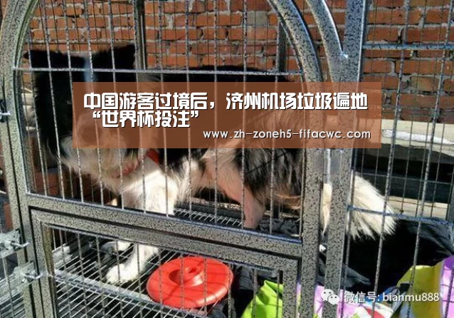 中国游客过境后,济州机场垃圾遍地“世界杯投注”(图1) 世界杯外围买球官网