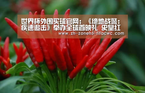 世界杯投注