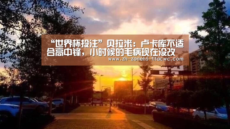 “世界杯投注”贝拉米:卢卡库不适合高中锋,小时候的毛病现在没改(图2) 世界杯投注