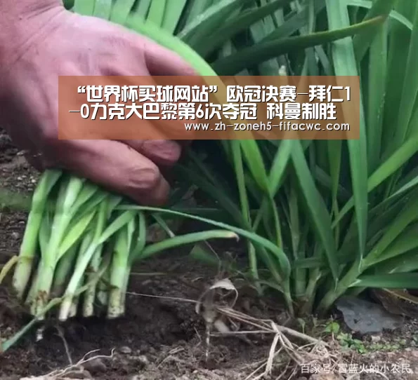 “世界杯买球网站”欧冠决赛-拜仁1-0力克大巴黎第6次夺冠 科曼制胜球灭旧主(图1) 世界杯买球网站